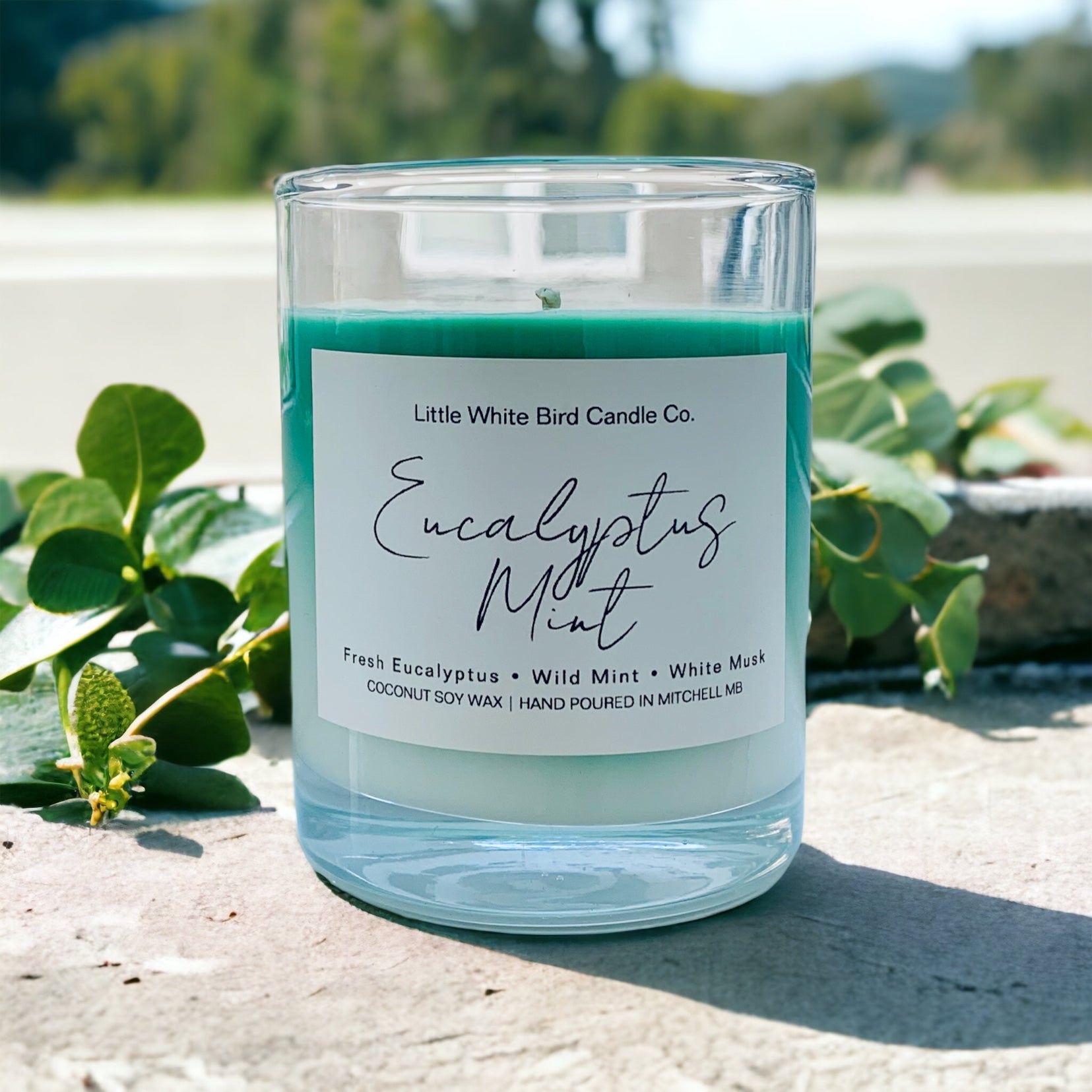 10oz Eucalyptus Mint Colour Melt Candle • Fresh Eucalyptus • Wild Mint • White Musk