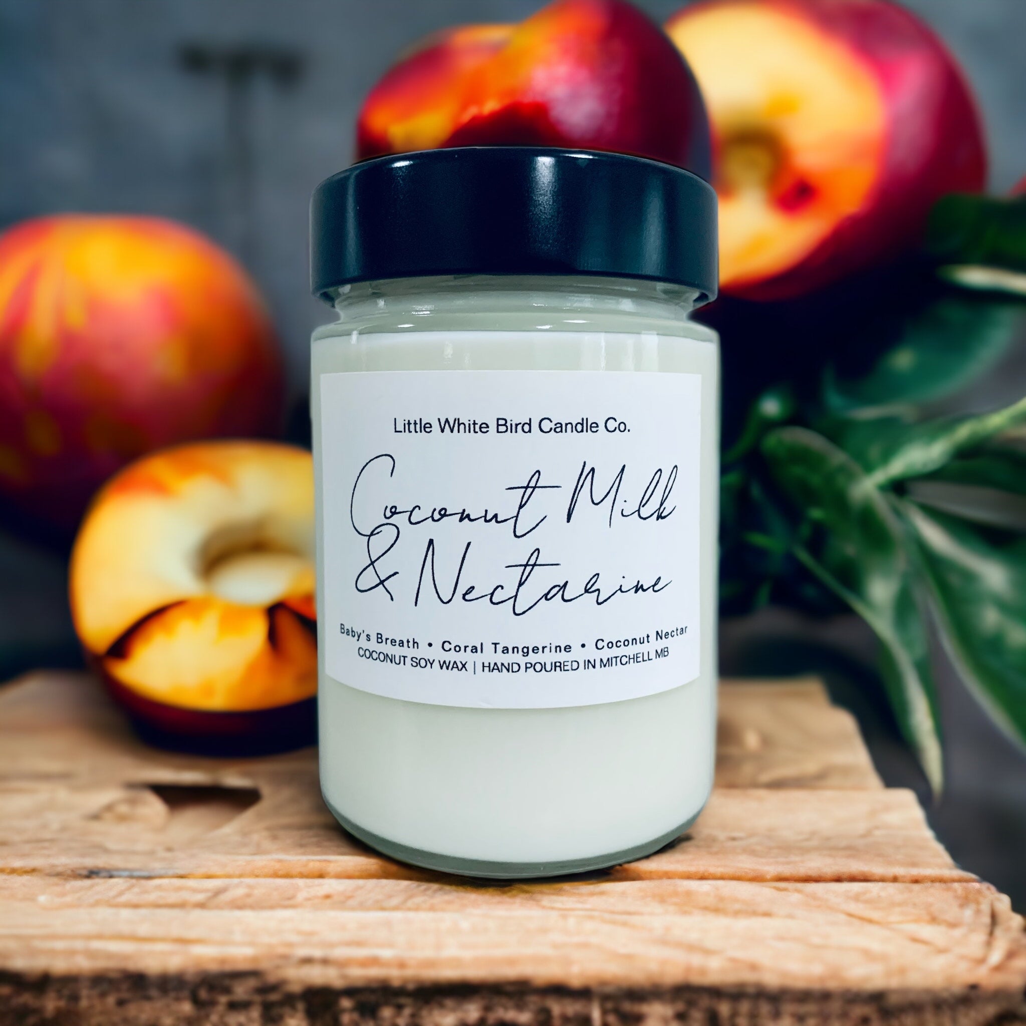 10oz Coconut Milk & Nectarine Candle • Baby’s Breathe • Coral Tangerine • Nectarine Flesh