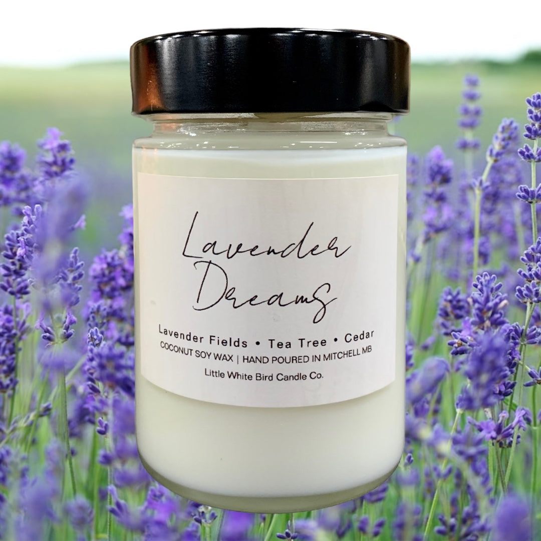 10oz Lavender Dreams Candle • Lavender Fields • Tea Tree • Cedar