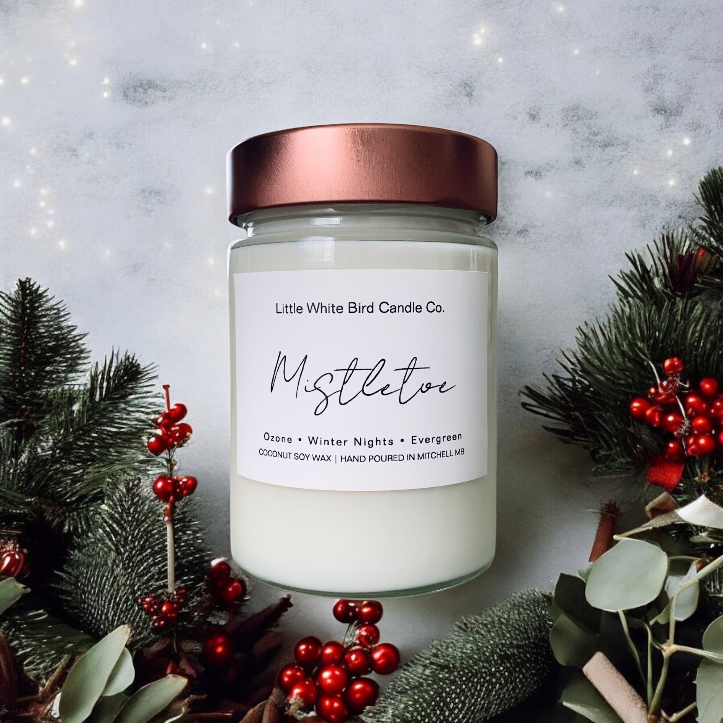 10oz Mistletoe Candle • Ozone • Winter Nights • Evergreen