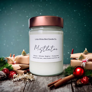 10oz Mistletoe Candle • Ozone • Winter Nights • Evergreen