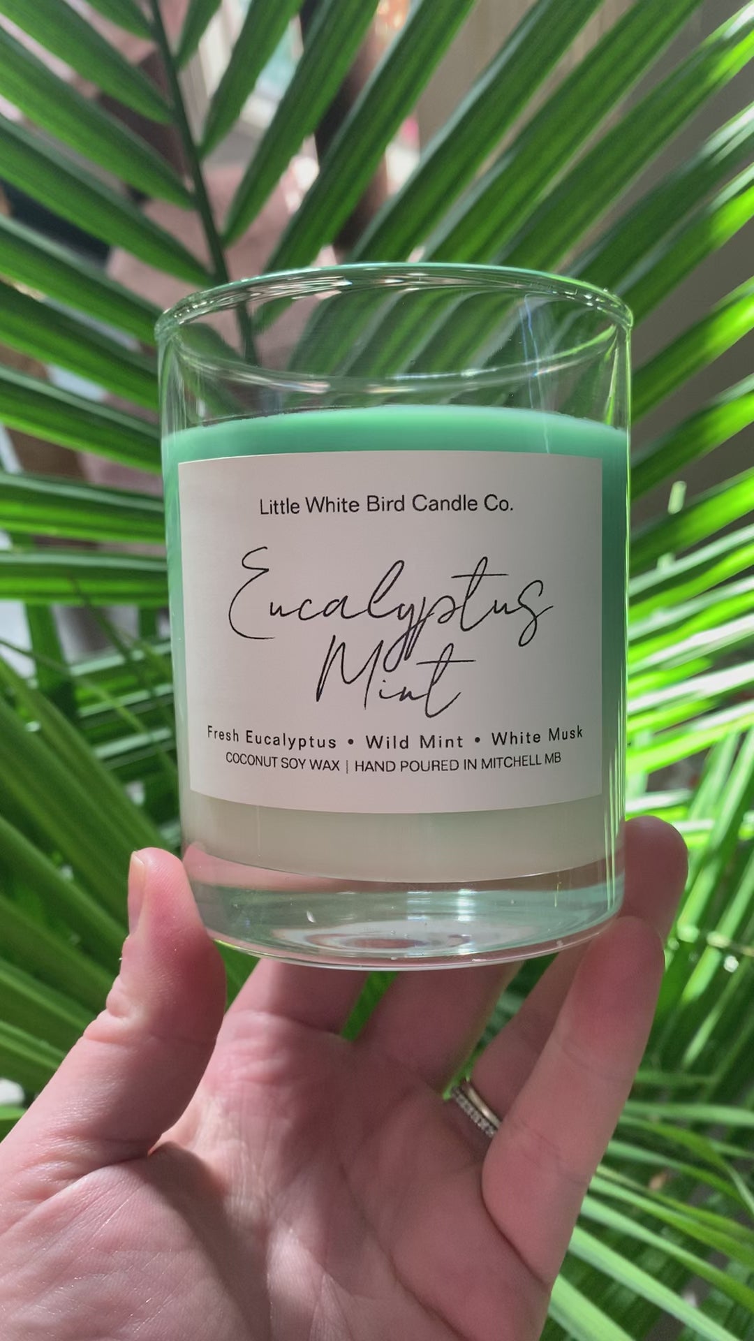 10oz Eucalyptus Mint Colour Melt Candle • Fresh Eucalyptus • Wild Mint • White Musk