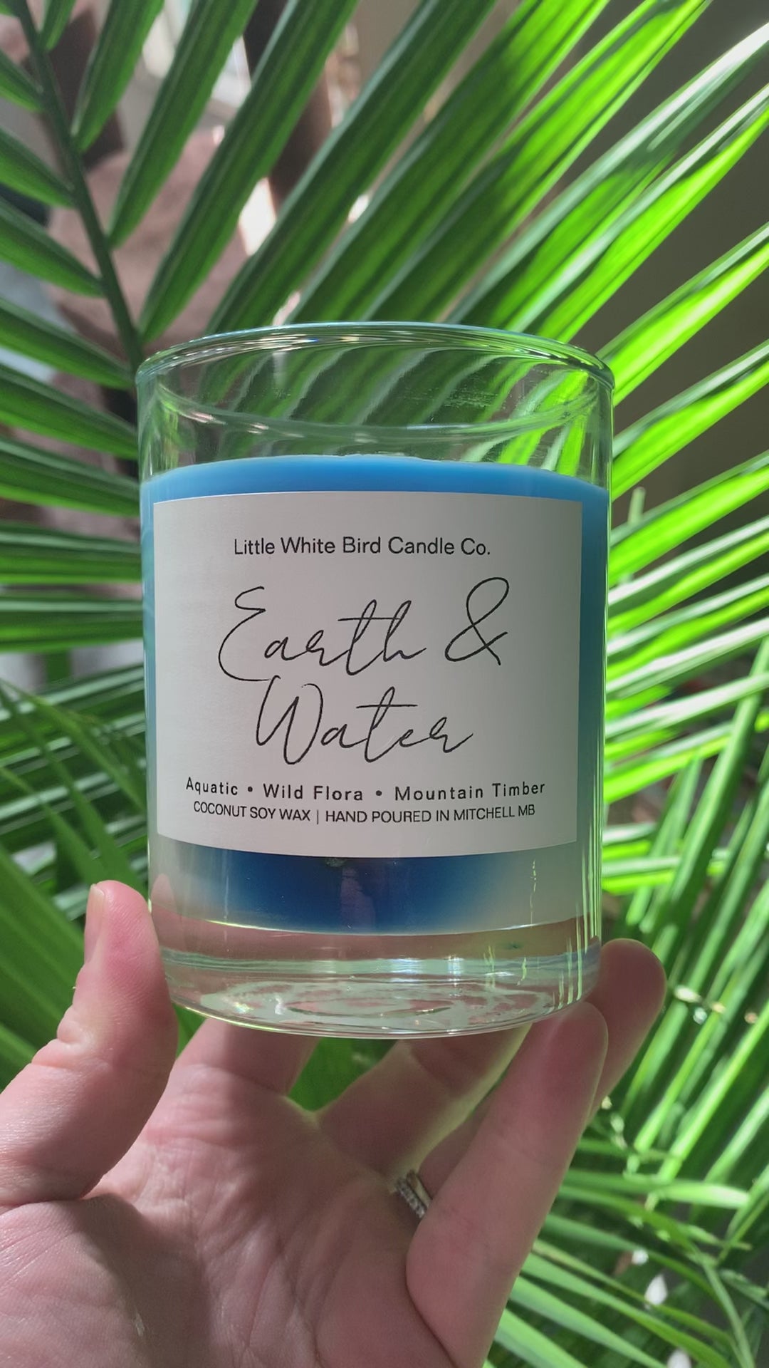 10oz Earth & Water Colour Melt Candle • Aquatic • Wild Flora • Mountain Timber