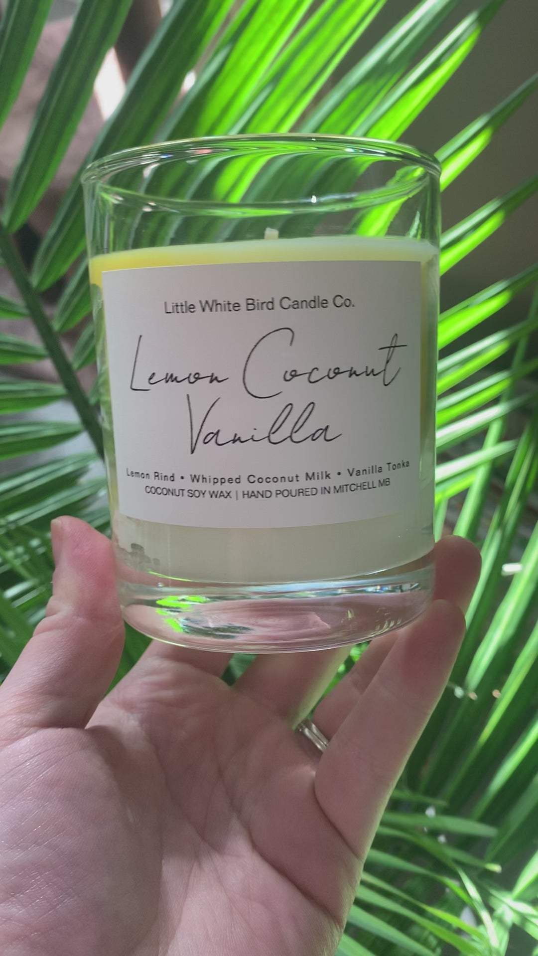 10oz Lemon Coconut Vanilla Colour Melt Candle • Lemon Rind • Whipped Coconut Milk • Vanilla Tonka